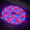 Світлодіодна Неонова Стрічка-Шланг RGB (5 м, 12V/220V): Гнучкий LED NEON